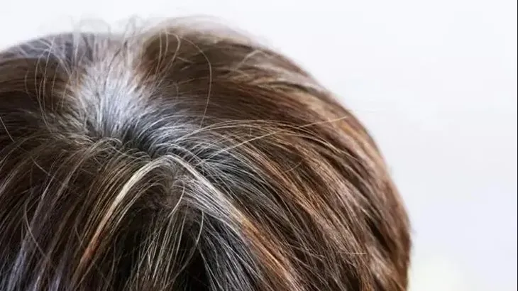 İbni-i Sina’nın 1000 yıllık tavsiyesi! Beyaz saçları yok etmek çok kolaymış...