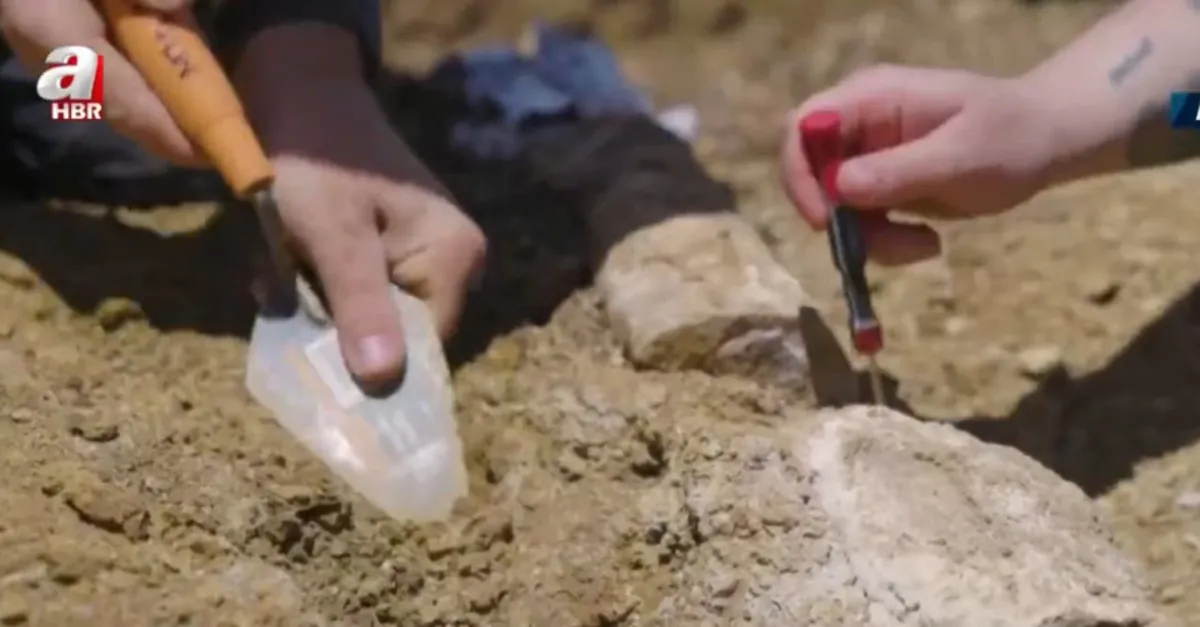 Tesadüfen buldular! Görünce gözlerine inanamadılar: 100 MİLYON YILLIK...