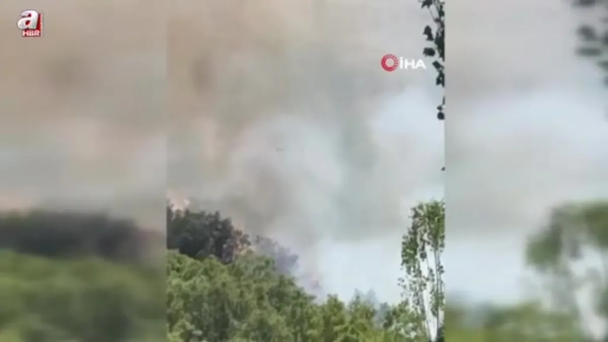 Hakkari Şemdinli'de orman yangını