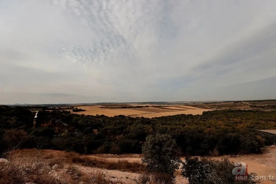 Dünya tarihini değiştirecek keşif! 1,4 milyon yaşında 7