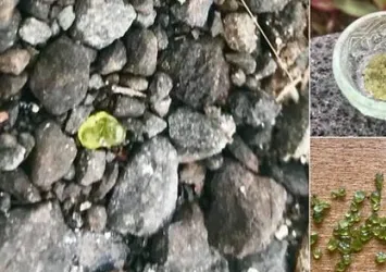 Gökten mücevher yağdı!