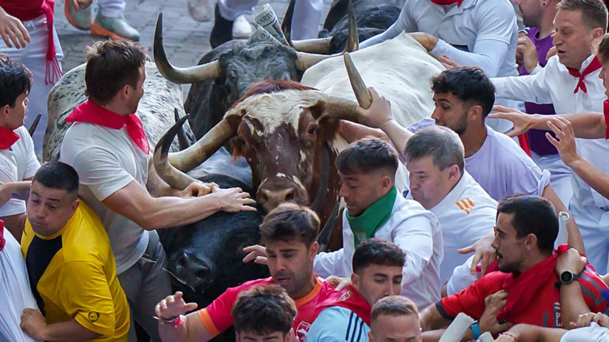 İspanya'da boğa koşusu: Çok sayıda yaralı