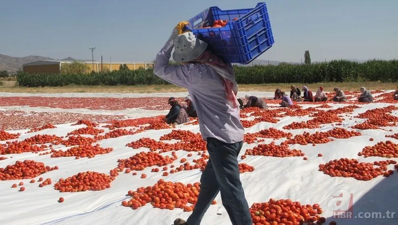 Mevsimlik işçiler kıdem tazminatı alabilir mi? Kıdem tazminatı nasıl hesaplanır? 12