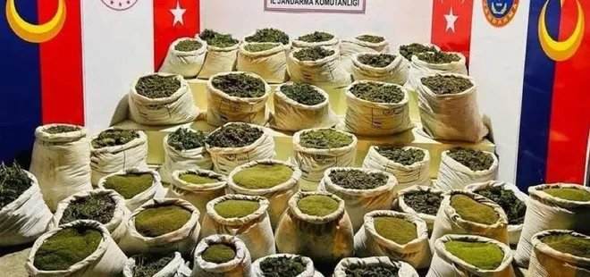 Diyarbakır’da terörün finans kaynağına darbe: 28 milyon 553 bin 274 kök uyuşturucu madde ele geçirildi