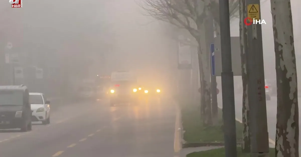 Sakarya’da sis etkili oluyor