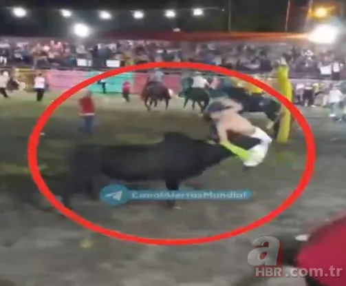 Son arenası oldu! Boğanın boynuz darbeleriyle hayatını kaybetti 3