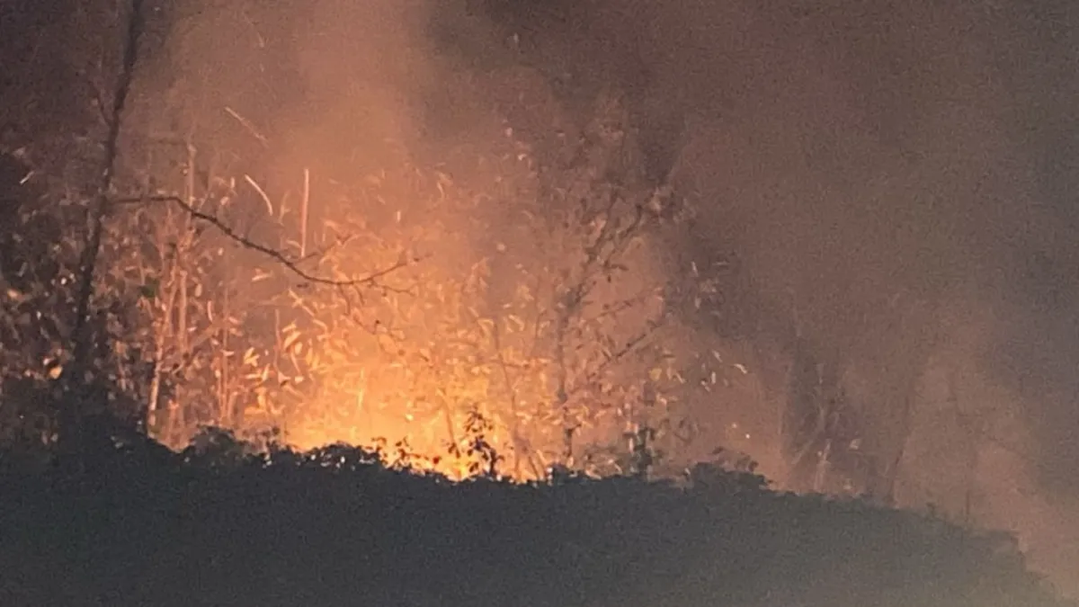 Trabzon'da örtü yangını! 4 saatin ardından kontrol altına alındı