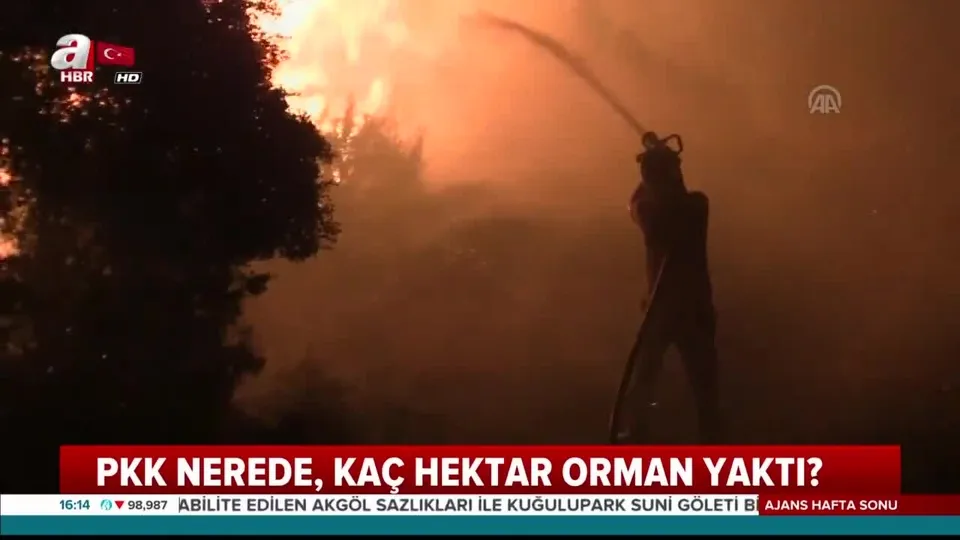 PKK ormanları neden yakıyor?