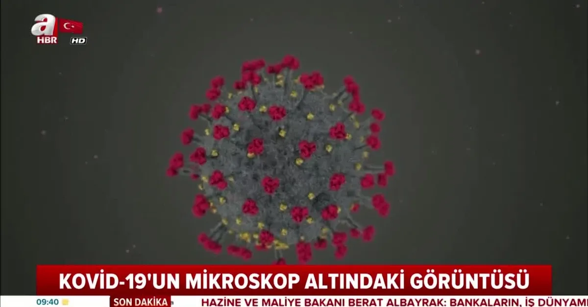 Koronavirüsün mikroskop altındaki görüntüsü! |Video