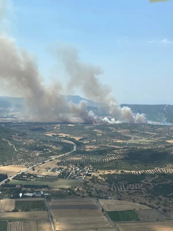 Son dakika | İzmir Foça'da korkutan orman yangını! Ekipler bölgede! Havadan karadan müdahaleyle kontrol altına alındı - 1