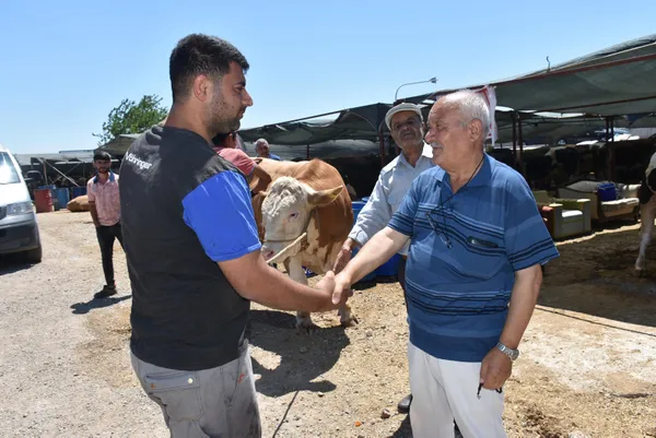 Pazarın gözdesi Toros Kaplanı 67 bin liraya alıcı buldu - 2