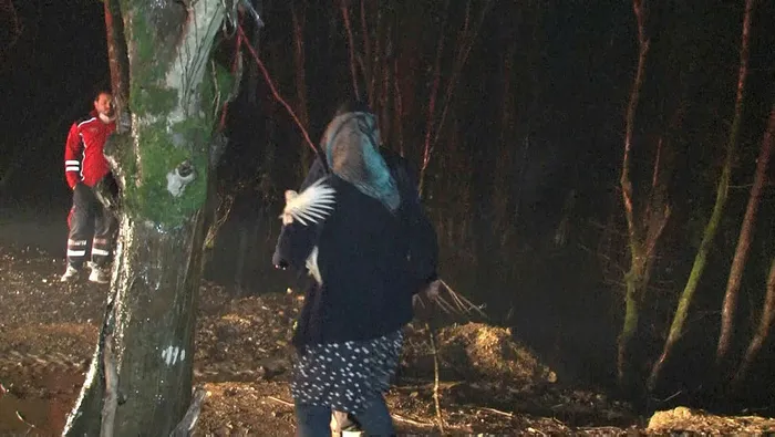 İstanbul Beykoz'da bulunan mandırada yangın - 1