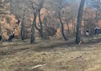 Ormanlık alanda yanmış ceset bulundu! Sırrı akıllı saat çözecek
