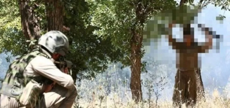 Bir terörist daha güvenlik güçlerine teslim oldu! 1 Ocak’tan bu yana tam 25 terörist...