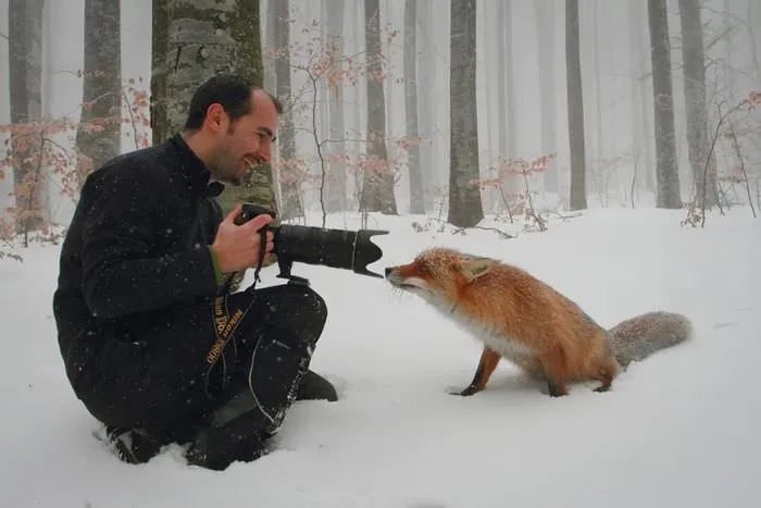 Fotoğrafçı hayvanlar