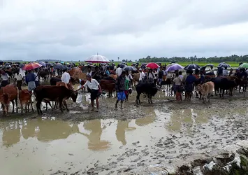 Arakan’da enerji soykırımı!