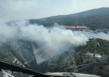 Son dakika: Çanakkale'de orman yangını!