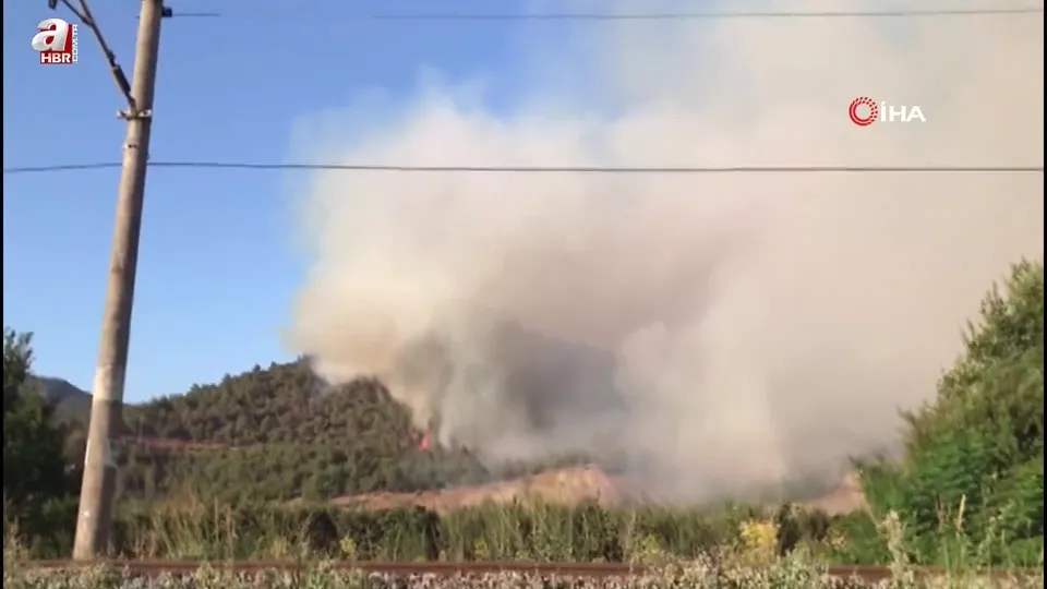 Tarihi İpek Yolu yanıyor