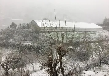 Mart ayında Antalya'ya kar yağdı!