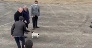 Başkan Erdoğan’dan hayvan barınağına ziyaret