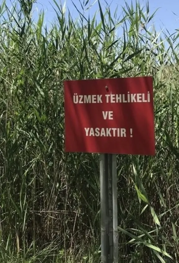1783001502567.jpg Hande Erçel'den kafa karıştıran paylaşım: "Üzmek tehlikeli ve yasaktır" - 1