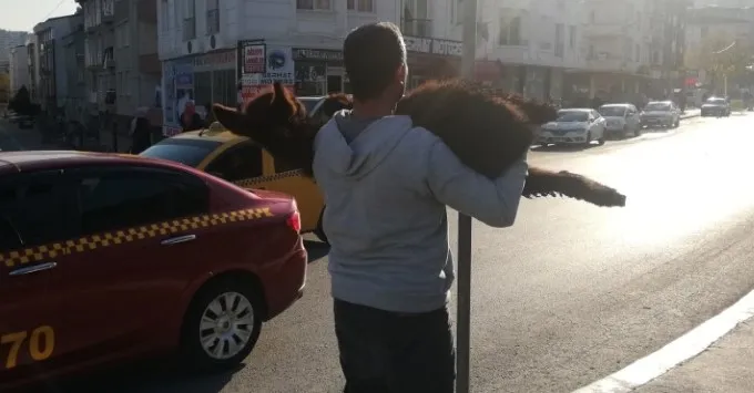 İstanbul'un en kalabalık ilçesinde vatandaşların eşek ve sıpa şaşkınlığı