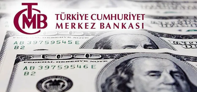 Merkez Bankası'ndan döviz hamlesi