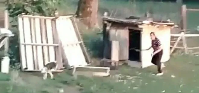 Bartın'da vicdansız adam köpeği sopayla dövdü! O anlar kamerada