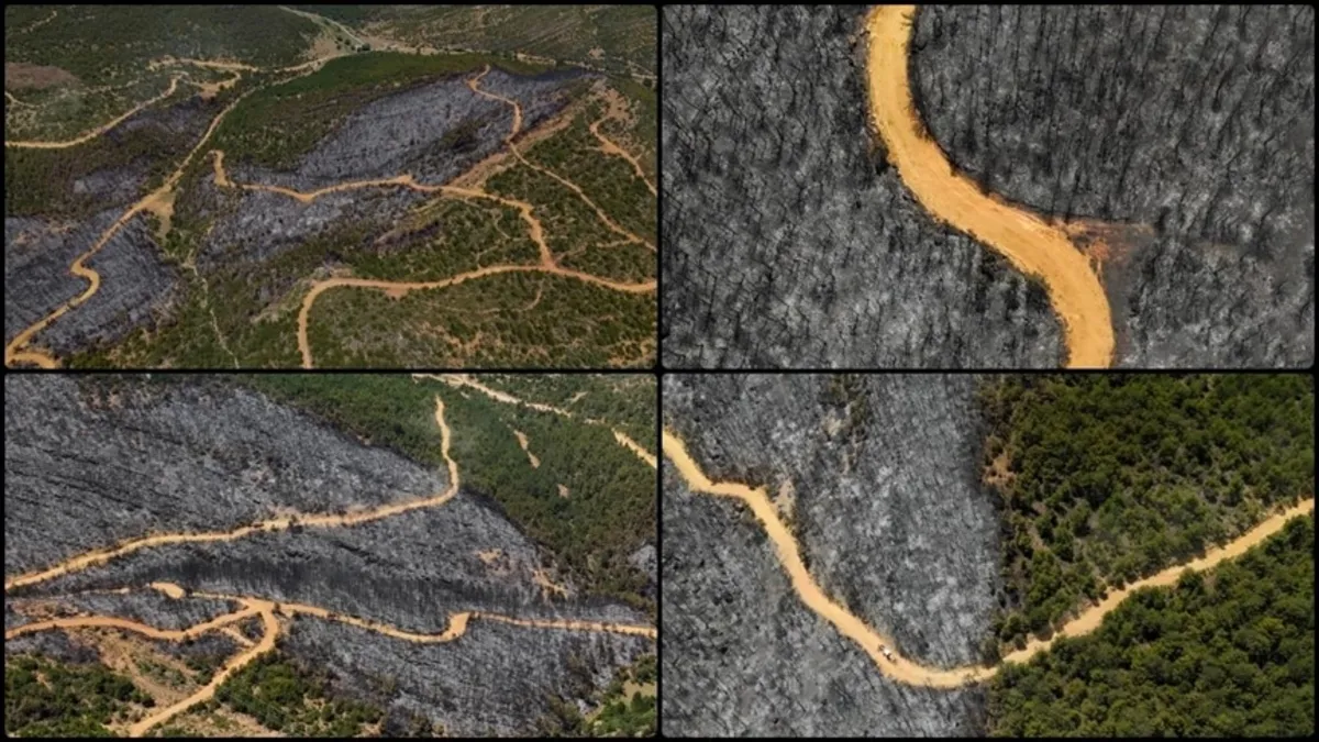 Uşak'ta yanan ormanlık alan havadan görüntülendi