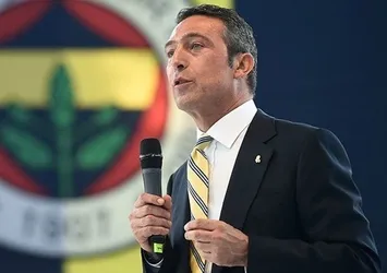 Ali Koç, İsviçre yolcusu