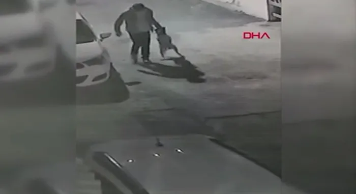 Köpeğin boğazını sıkıp işkence yaptı! Pendik'deki o anlar kamerada - 1