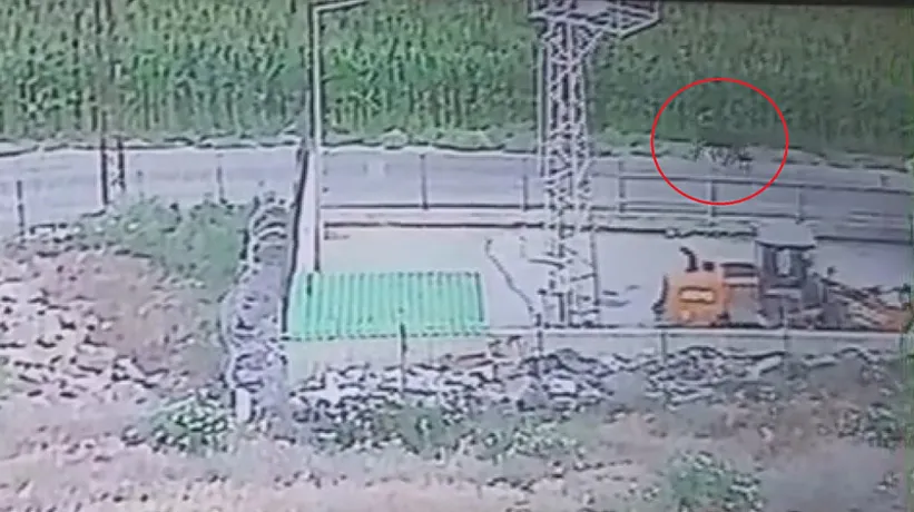 Günlerdir kayıplar! Vatandaşları uyardı: Görenler kaçsın!