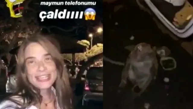 Ünlü oyuncu Müge Boz balayında telefonunu maymuna çaldırdı - 1