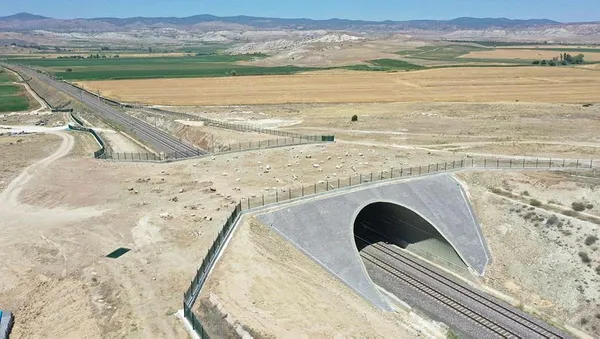 Ulaştırma ve Altyapı Bakanı Abdulkadir Uraloğlu'ndan ekolojik köprü açıklaması: Çalışmalar devam ediyor - 4