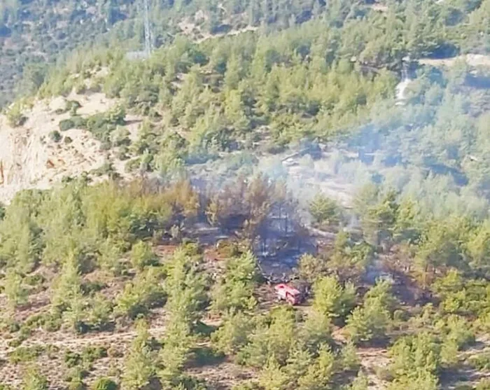 Son dakika: Bodrum’da korkutan orman yangını! 30 dakikada söndürüldü