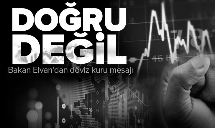 Son dakika: Hazine ve Maliye Bakanı Lütfi Elvan’dan döviz kuru mesajı
