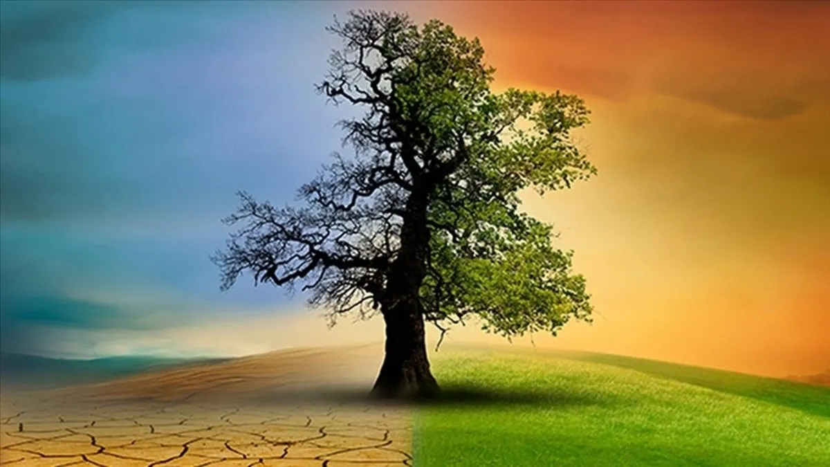 Türkiye'nin ilk İklim Kanunu teklifi TBMM'de kabul edildi: Afetlere karşı erken uyarı sistemi