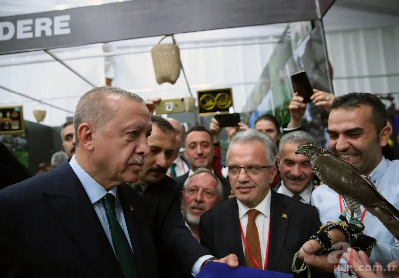 Başkan Erdoğan, Rize Tanıtım Günleri stantlarını tek tek ziyaret etti 8