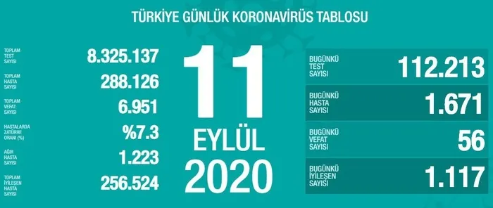 Son dakika: Sağlık Bakanlığı koronavirüs vaka sayılarını açıkladı - 2