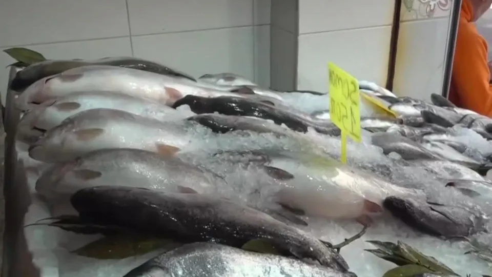 Türk somonunun denize yolculuğu başladı