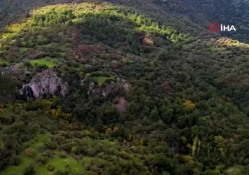 Manisa'da sonbahar manzaraları Karadeniz yaylalarını aratmadı
