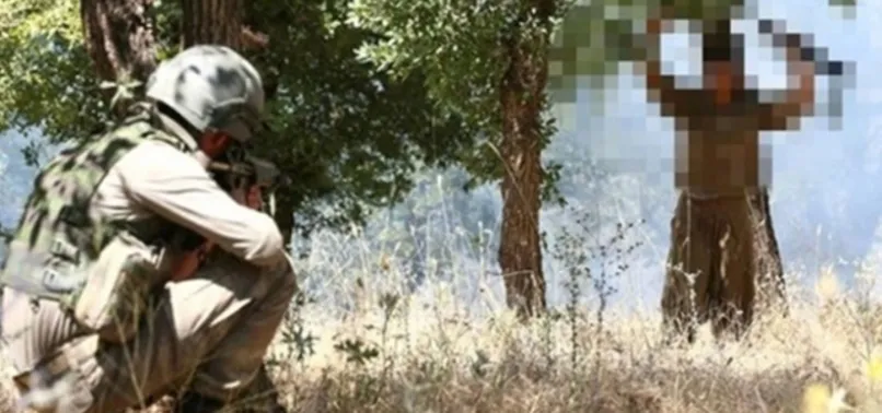 YPG-PKK'lı teröristler tek tek tutuklandı!
