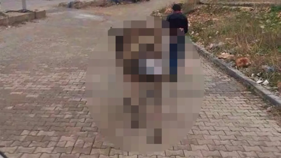 Yolda görenler şaştı kaldı! Gören dönüp bir daha baktı...