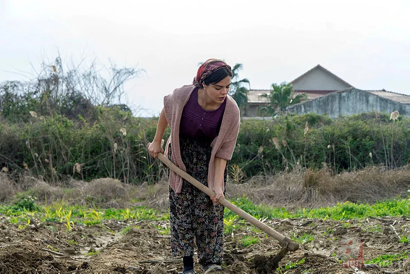 Bir Zamanlar Çukurova dizisinin Züleyha'sı Hilal Altınbilek bakın nereli | Ünlülerin memleketleri 18