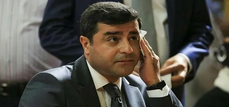 Başkan Erdoğan’a hakaret davası | Selahattin Demirtaş’ın cezası kesildi