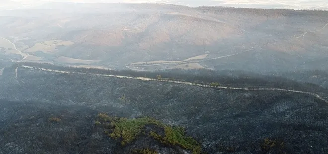 Çanakkale'de yanan bölgeler havadan görüntülendi! Acı bilanço gün ağarınca ortaya çıktı