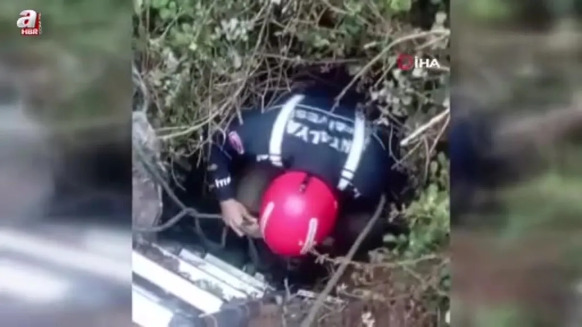 Antalya'da foseptik çukuruna düşen köpeği itfaiye kurtardı