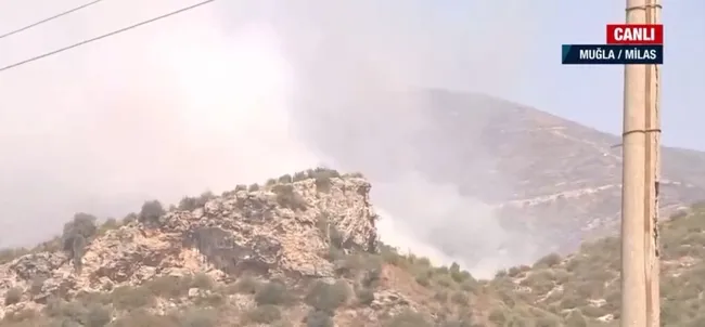 milasta-alevler-santrale-ulasmadan-durduruldu-tum-tedbirler-artirildi-1628066140768.jpg Milas’ta alevler santrale ulaşmadan durduruldu! Tüm tedbirler artırıldı - 3