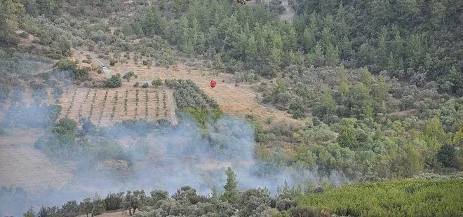 Mersin'de otluk alanda çıkan yangın söndürüldü