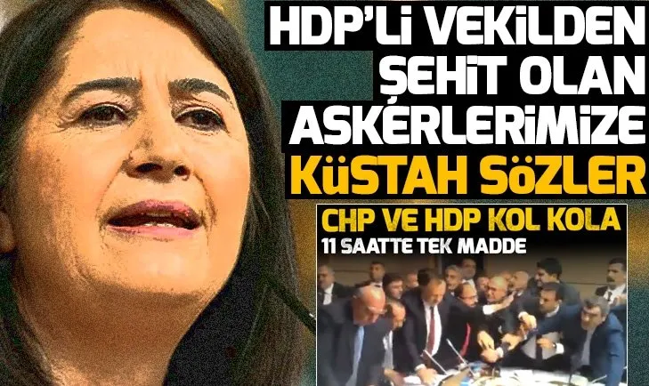 HDPli Serpil Kemalbaydan şehitlerimiz için küstah sözler!